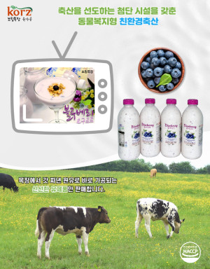 수제 블루베리요구르트 1000ml*4