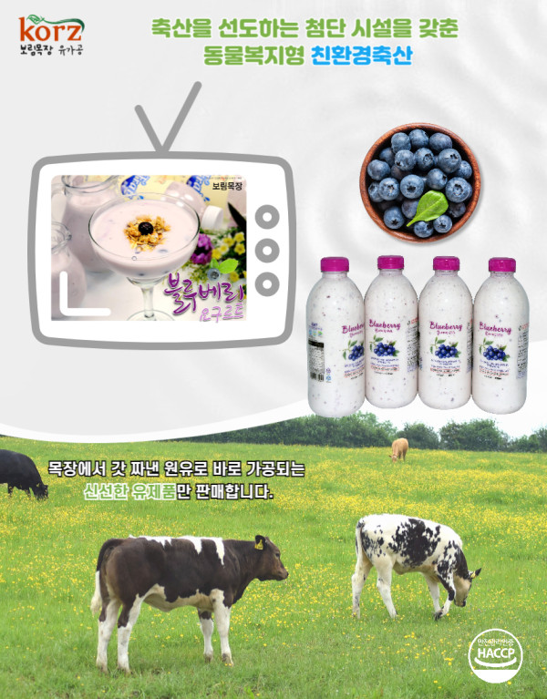 수제 블루베리요구르트 1000ml*4